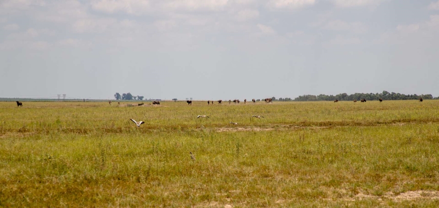 23 Bedroom Property for Sale in Heilbron Free State